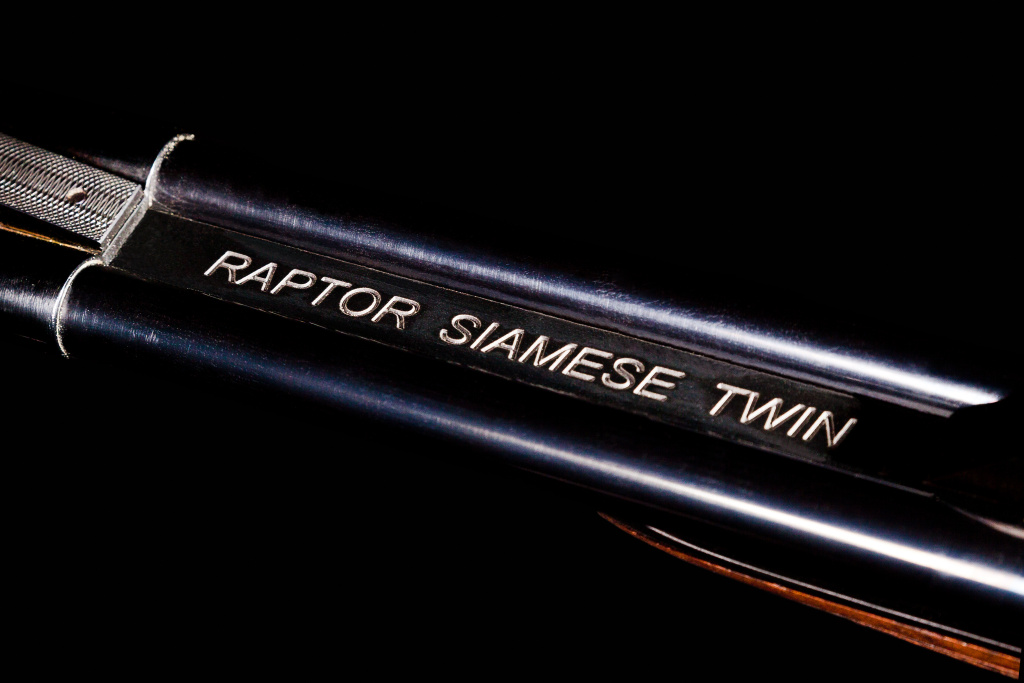 028 Raptor Siamese Twin